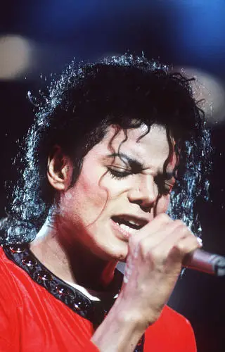 Michael Jackson Fridge Magnet picture 148704