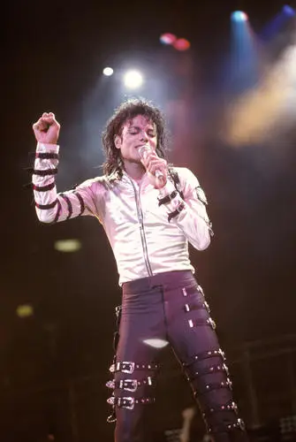 Michael Jackson Fridge Magnet picture 149210