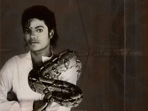Michael Jackson Fridge Magnet picture 187995