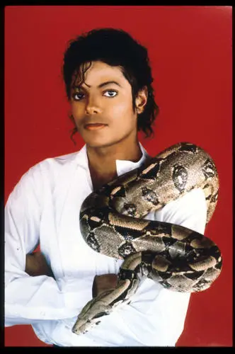 Michael Jackson Fridge Magnet picture 504844