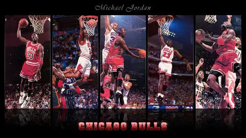 Michael Jordan Fridge Magnet picture 286277