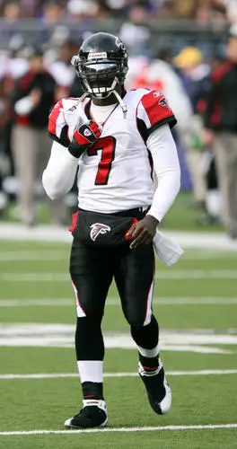 Michael Vick Wall Poster picture 98012