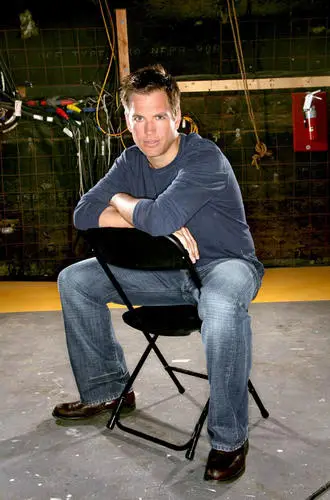 Michael Weatherly Wall Poster picture 481167