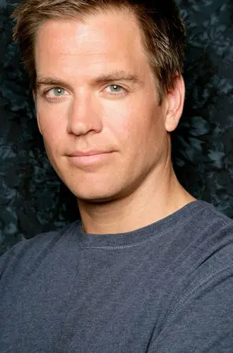 Michael Weatherly Wall Poster picture 481177