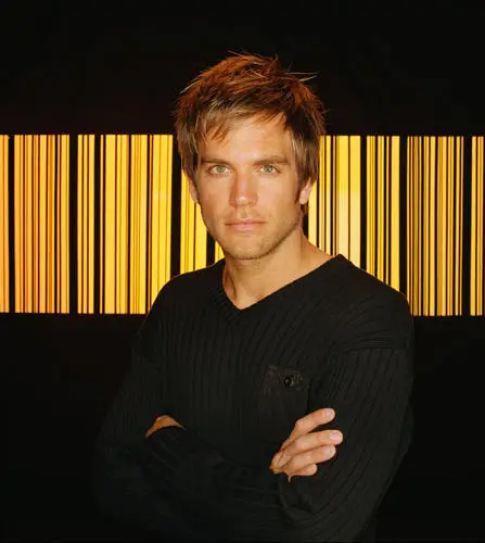 Michael Weatherly Jigsaw Puzzle picture 497140