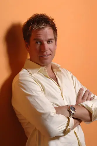 Michael Weatherly Jigsaw Puzzle picture 500540