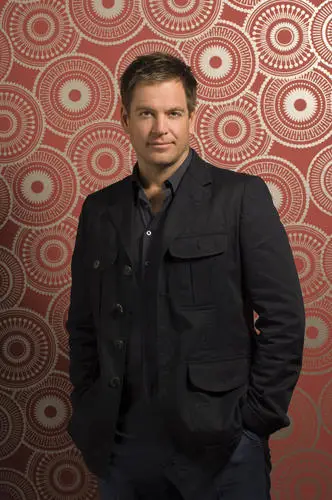 Michael Weatherly Jigsaw Puzzle picture 514498