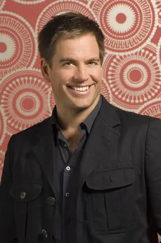 Michael Weatherly Wall Poster picture 514499