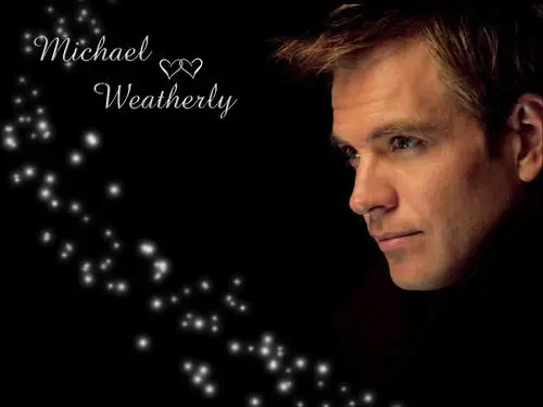 Michael Weatherly Jigsaw Puzzle picture 85565