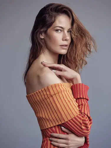 Michelle Monaghan Wall Poster picture 882002