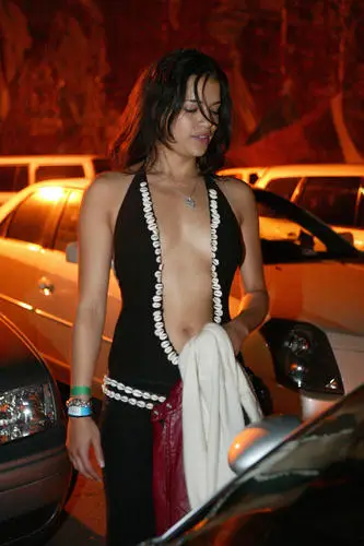 Michelle Rodriguez Wall Poster picture 42746