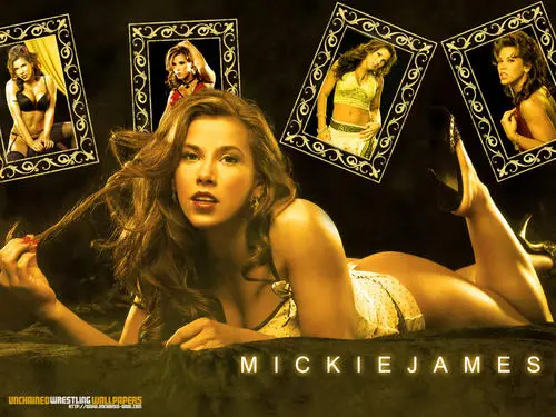 Mickie James Jigsaw Puzzle picture 96538