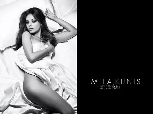 Mila Kunis Wall Poster picture 235208