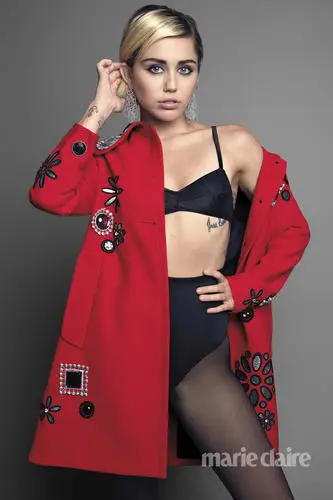 Miley Cyrus Wall Poster picture 525408
