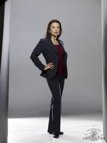 Ming-Na Wen Jigsaw Puzzle picture 790423