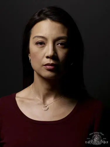 Ming-Na Wen Protected Face mask - idPoster.com