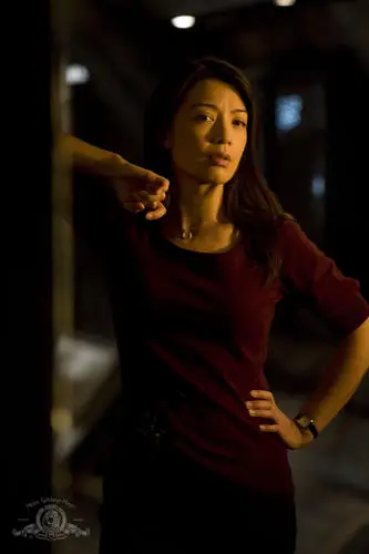 Ming-Na Wen Image Jpg picture 790428