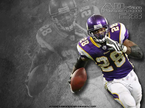 Minnesota Vikings Wall Poster picture 52622