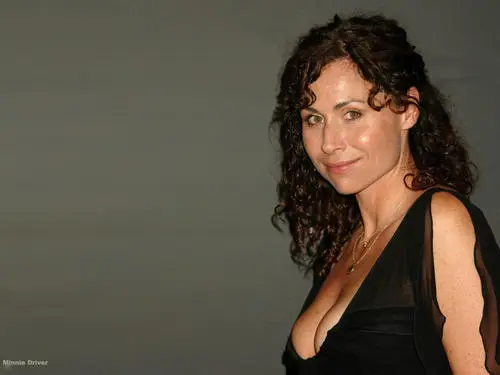 Minnie Driver Jigsaw Puzzle picture 184465