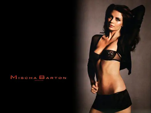 Mischa Barton Jigsaw Puzzle picture 184576