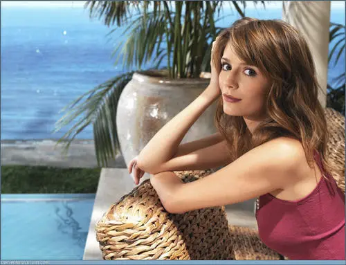 Mischa Barton Jigsaw Puzzle picture 43177