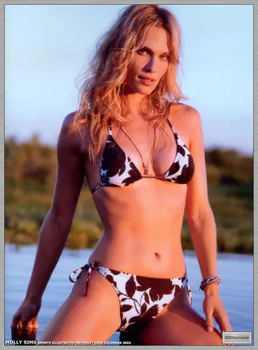 Molly Sims Jigsaw Puzzle picture 43241