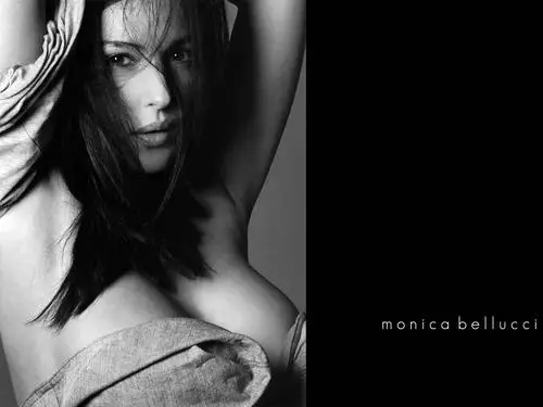 Monica Bellucci White T-Shirt - idPoster.com