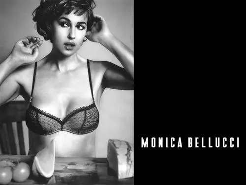 Monica Bellucci Image Jpg picture 184695
