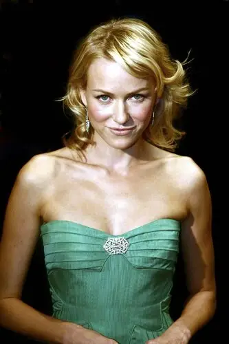 Naomi Watts Jigsaw Puzzle picture 15960