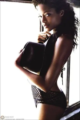 Naomie Harris Wall Poster picture 477407