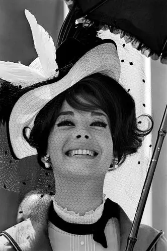 Natalie Wood Wall Poster picture 89001