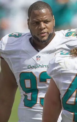 Ndamukong Suh Wall Poster picture 824388