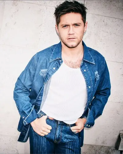 Niall Horan Jigsaw Puzzle picture 948739