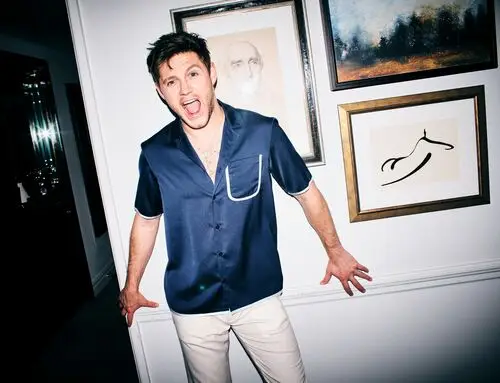 Niall Horan Men's Colored  Long Sleeve T-Shirt - idPoster.com