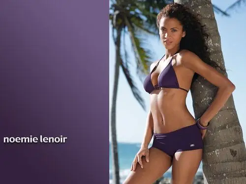 Noemie Lenoir Wall Poster picture 226253