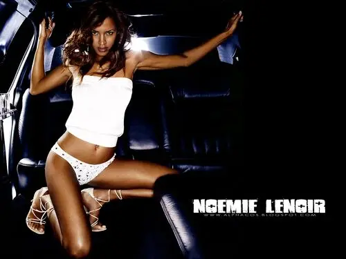Noemie Lenoir Wall Poster picture 226255