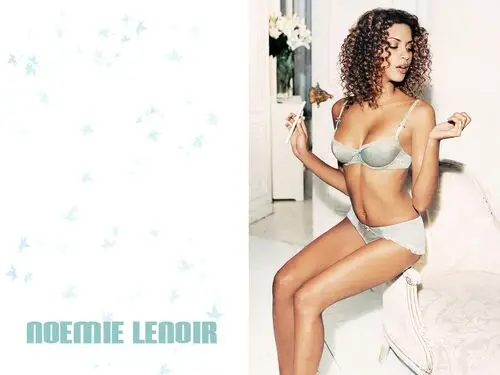 Noemie Lenoir Wall Poster picture 226257