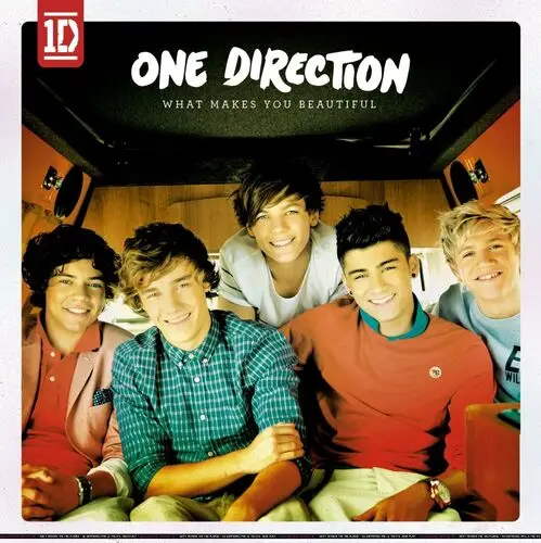 One Direction Jigsaw Puzzle picture 167756