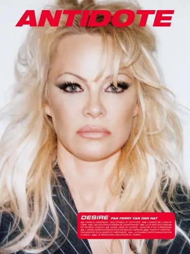Pamela Anderson Wall Poster picture 16963