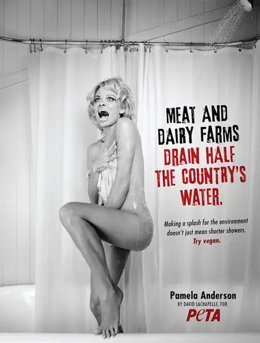 Pamela Anderson Kitchen Apron - idPoster.com