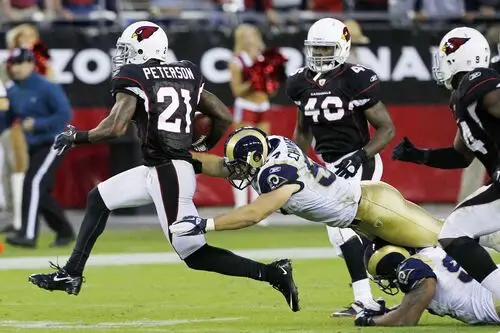 Patrick Peterson Wall Poster picture 721141