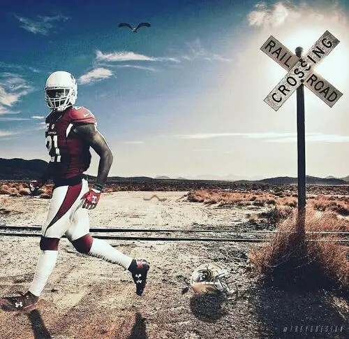 Patrick Peterson Wall Poster picture 721178