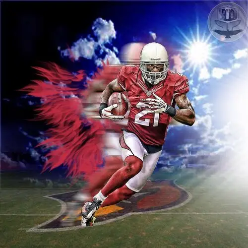 Patrick Peterson Wall Poster picture 721229