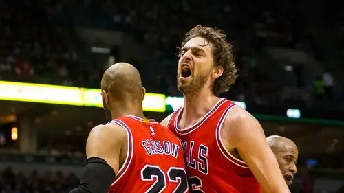 Pau Gasol Wall Poster picture 714736
