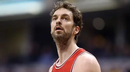 Pau Gasol Wall Poster picture 714744