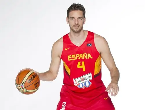Pau Gasol Wall Poster picture 714746