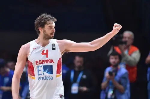Pau Gasol Wall Poster picture 714759