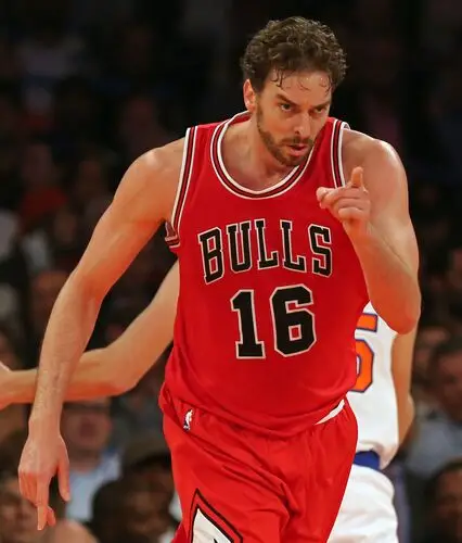 Pau Gasol Wall Poster picture 714771
