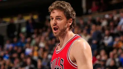 Pau Gasol Wall Poster picture 714780