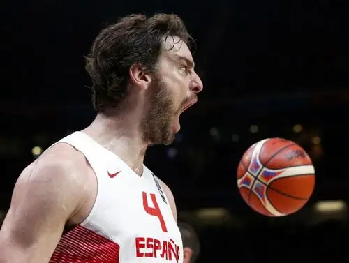 Pau Gasol Wall Poster picture 714801
